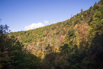 Sticker - autumn in the mountains