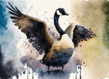 A Canadian Goose Flapping Wings, In A Colorful Watercolor Style. Generative AI
