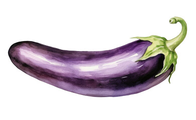 Wall Mural - Watercolor illustration of eggplant isolated on transparent background
