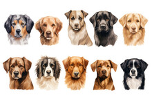 Set Dogs Of Different Breeds In Watercolor Style