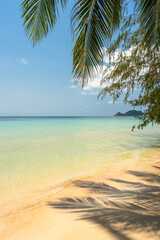 Wall Mural - Idyllic tropical sandy beach seascape in sunny day. Palm leaves shadow, calm ocean wave on shore, clear turquoise sea water and blue sky. Horizon over water. Peaceful natural nature background