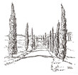 Travel sketch illustration of the road with cypress in Tuscany, Italy, Europe. Sketchy line art drawing with a pen on paper. Sketch in black color isolated on white background. Freehand drawing.