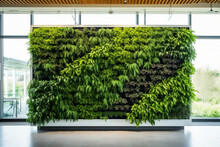 Living Wall Tropical Green Plants Background In A Modern Office