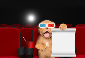 Poster - Happy Mastiff puppy wearing 3d glasses shows empty list and watching a movie in the cinema