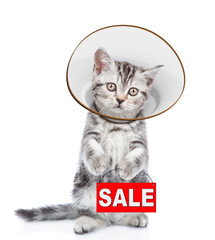 Poster - Cute tabby kitten wearing protective cone collar holds signboard with labeled 