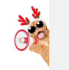 Poster - Happy Mastiff puppy dressed like santa claus reindeer  Rudolf looks from behind empty white banner and barks into megaphone. isolated on white background