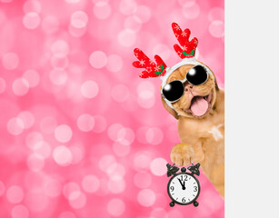 Poster - Happy Mastiff puppy dressed like santa claus reindeer  Rudolf looking from behind empty white banner and shows alarm clock in it paw