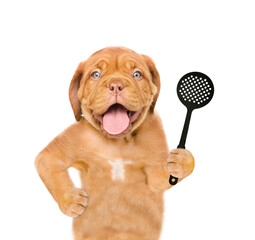 Poster - Funny dog holds skimmer in its paws. isolated on white background