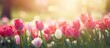 Stunning spring bouquet of tulips for postcard and web banner Romantic and dreamy landscape Beautiful nature meadow and sunlight With copyspace for text
