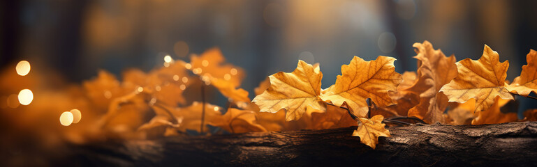 Wall Mural - autumn oak foliage bokeh lights header