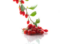 Branch With Ripe Red Goji Berry On White Background