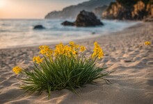 AI-generated Illustration Of Vibrant Yellow Wildflowers Dot The Sandy Shoreline Of A Tranquil Beach
