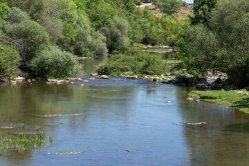 Poster - scenic view of a river with green vegetation on a sunny day