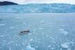 greenland eqi glacier boat tour