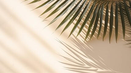 Wall Mural - Palm leaf shadows on a white wall and cream pastel floor Abstract background with palm leaf shadows for a creative summer minimal mock up Neutral tropical palm mockup on a light geometric backd