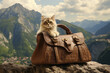 a cat wearing a handbag