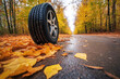 Reifen auf einer glatten Straße mit Herbstblätter