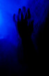 © FATIR29 - Arms of woman pressing against curtain. silhouette woman behind blue light poses mysteriously and artistically