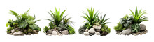 Collection Of Set Tropical Bush With Decorative Stones, Floral Arrangement In Garden's Natural Design Isolated On Transparent Background. PNG File, Cut Out