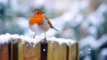 Robin On A Fence Winter Snow Close Up - By Generative Ai