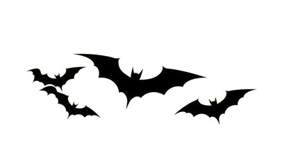 Halloween silhouette black bat on transparent background.