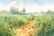 A simple watercolor artwork of tomatoes being cultivated in a field. Generative AI