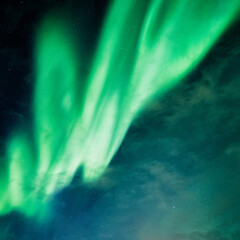 Wall Mural - bright and active aurora borealis or northern lights glowing in the night sky on arctic circle