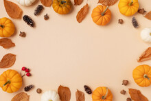 Autumn Holiday Frame From Decorative Pumpkins, Dried Foliage, Berry, Pinecones And Acorns Top View. Thanksgiving Day, Harvest, Autumn And Fall Background Top View..