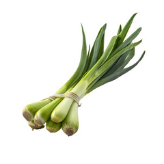 Wall Mural - Leeks vegetable cutout on a transparent background. Concept of food.