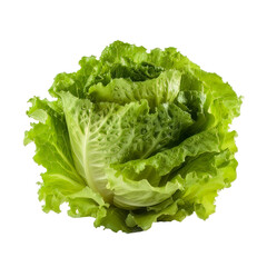 Wall Mural - Lettuce vegetable cutout on a transparent background. Concept of food.