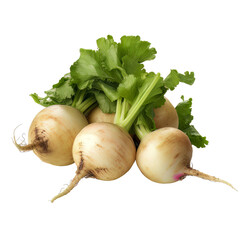 Wall Mural - Turnips vegetable cutout on a transparent background. Concept of food.