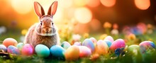 Adorable Easter Bunny With Easter Eggs In Flowery Meadow. Copy Space For Text