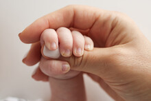 Parents' Hands Hold The Fingers Of A Newborn Baby. The Hand Of A Mother And Father Close-up Holds The Fist Of A Newborn Baby. Family Health And Medical Care. Professional Photo On White Background