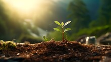 Sunlit Sprout: A New Beginning In Nature's Embrace . Generative Ai