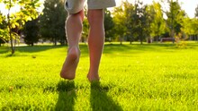 The Baby Bare Feet. Close-up Of Boy's Feet. A Child Walking On Green Grass In A Meadow, Park On A Sunny Summer Day. The Rays Of The Sun Pass Through The Feet. Kid Dream Concept, Family In Park.