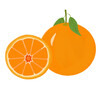 © Kurniaanggraini - Illustration of orange fruit and orange slices