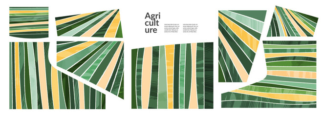 Wall Mural - Set of abstract shapes green field from aerial view. Minimalist summer field landscape poster collection. Rural view, grunge texture. Design elements for social media post, layout, card, background