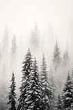 Fototapeta Las - Pine trees in the fog - dark forest with dramatic light - generative AI