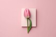 Minimalist design with a pink tulip and the number 8, ideal for a spring greeting card celebrating Women's Day. Generative AI