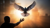 Fototapeta Dinusie - silhueta de pombo voando com as duas mãos e conceito de liberdade e dia internacional da paz