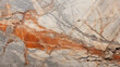 Closeup of aged quartzite, exhibiting a unique blend of speckled texture and uneven edges.