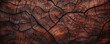 Closeup of a tree bark with a striking pattern of raised, geometric shapes. The texture is gritty and rough, almost like sandpaper, with a deep, rich shade of mahogany. The bark also has