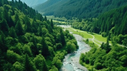 Wall Mural - View from above, beautiful natural river in green forest with mountains in the background