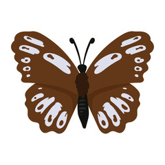 Sticker - butterfly insect illustration isolated