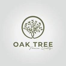 Oak Tree Logo Design Emblem, Vintage Acacia Or Olive Or Eden Icon Vector Illustration
