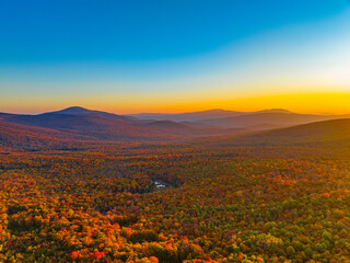 Wall Mural - landscape of autumn mountain forest and mountain range in mist