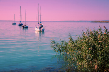 Wall Mural - Sailing boats in the lake during sunset. Balaton Lake Hungary Europe
