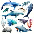 clipart hand painted watercolor ocean animals vectors white background sharp focus highly detailed extreme detail 
