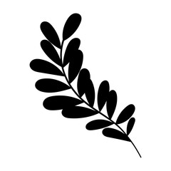 leaf silhouette vector illustration, isolated on white background