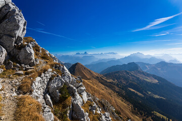 Canvas Print - Autumn colors are exploding in the woods of Carnic Alps